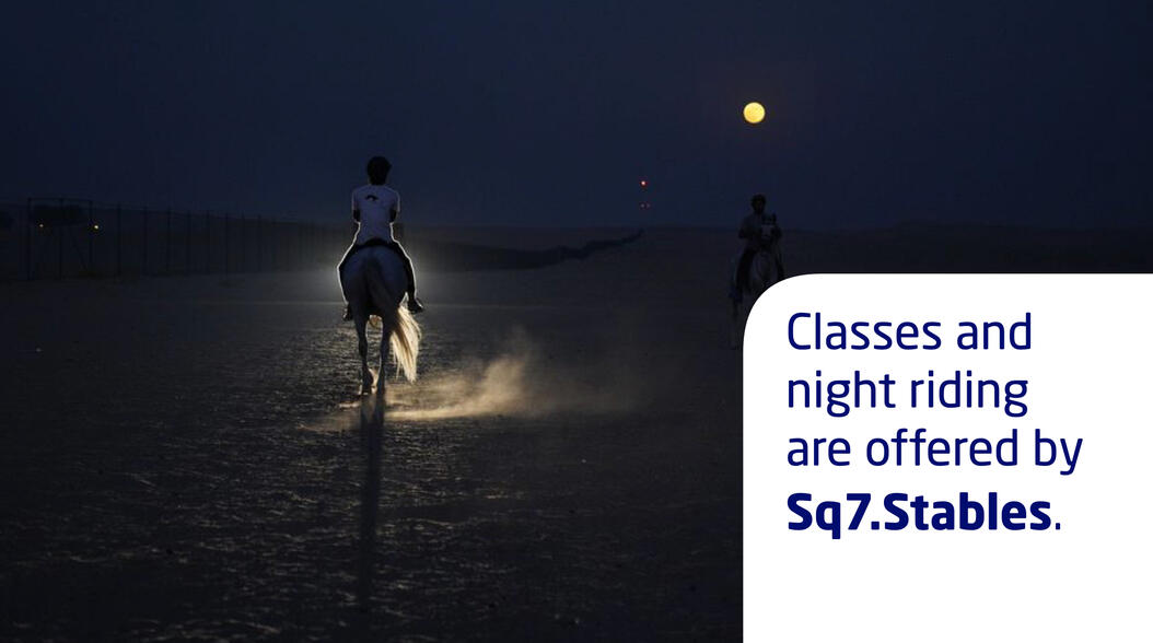 Marketed Internal Sport Opportunities